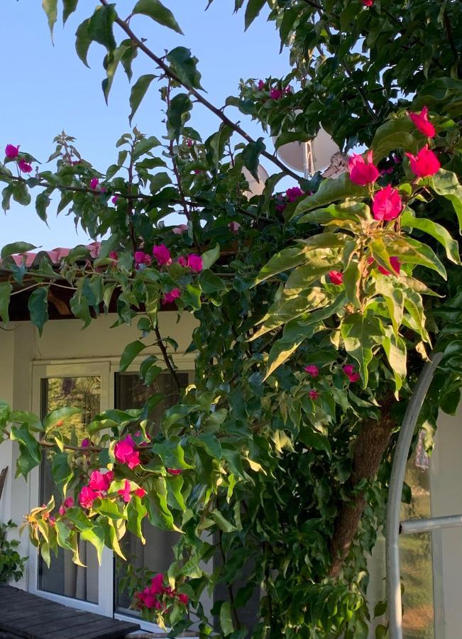 La Casa Di Mare Villa Agios Gordios  Bagian luar foto